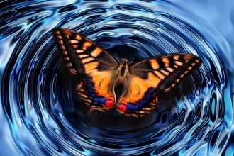 Na metáfora atribuída ao meteorologista Edward Lorenz, o bater de asas de uma simples borboleta poderia influenciar o curso natural das coisas e, assim, talvez provocar um tufão do outro lado do mundo. - Imagem: Pixabay